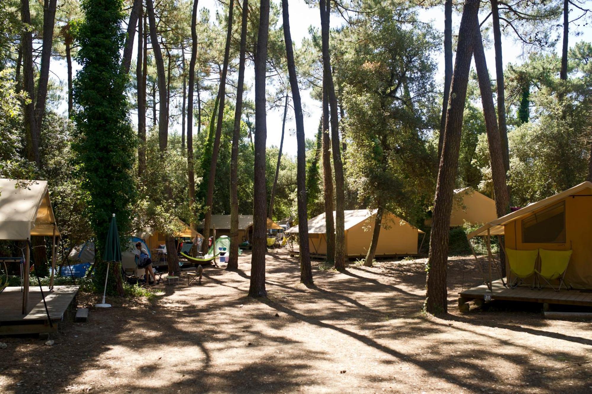 Huttopia Oleron Les Chenes Verts Долю-д'Олерон Номер фото